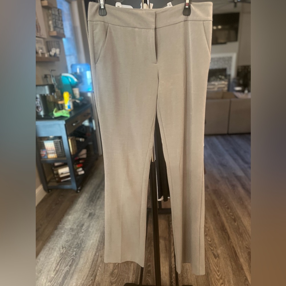 Gray Dress Pant